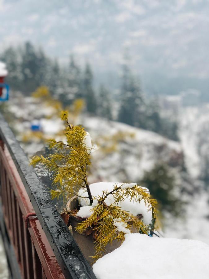 Paradise Inn By Hbr Dharamshala Buitenkant foto